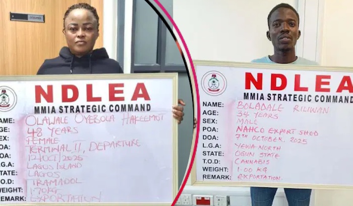 US, UK, DRC-Bound Illicit Drug Consignments Intercepted in Frozen Snails, Electrical Bulbs – Arise News