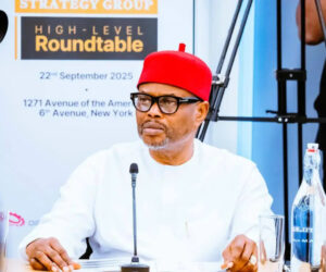 Minister Nnaji’s certficate saga and the need to respect institutions, By Johnson Okolo