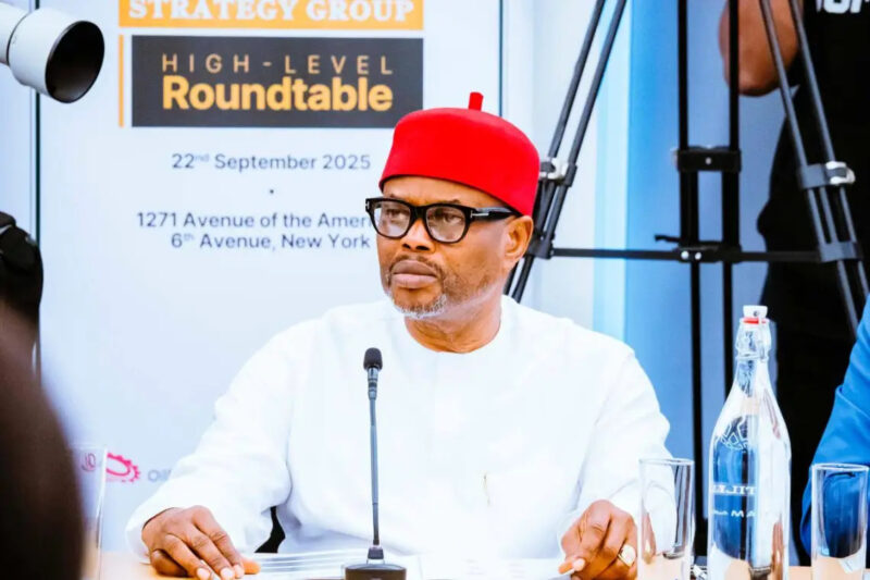 Minister Nnaji’s certficate saga and the need to respect institutions, By Johnson Okolo