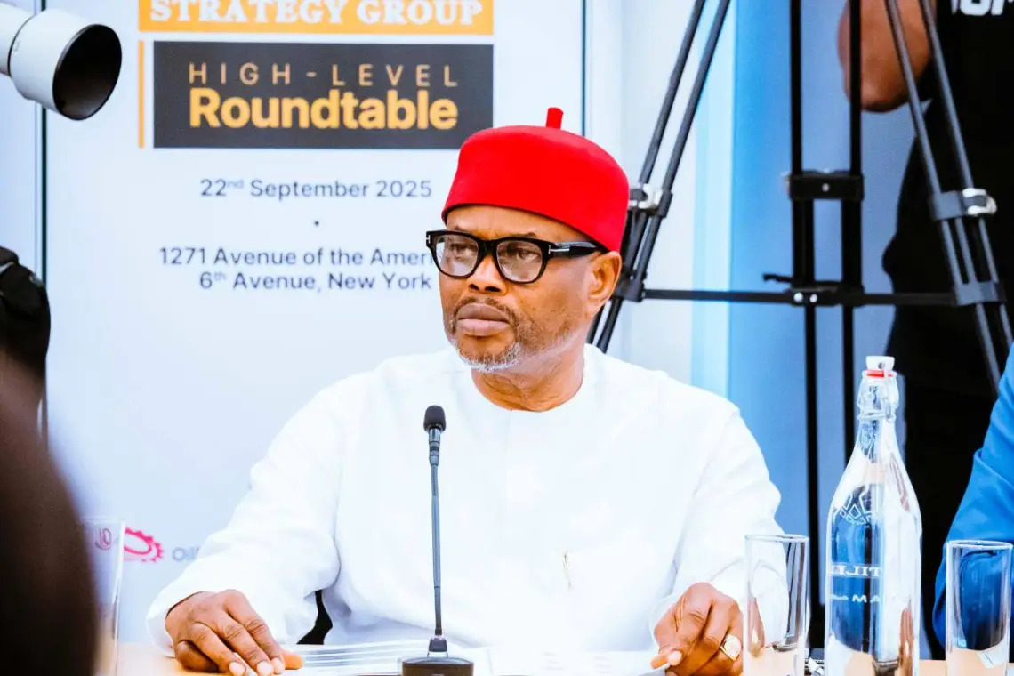 Minister Nnaji’s certficate saga and the need to respect institutions, By Johnson Okolo