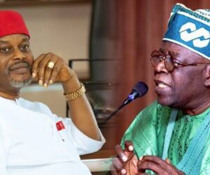 Certificate Forgery: We Are Not Surprised You Are Yet To Fire Uche Nnaji – ADC Tackles Tinubu