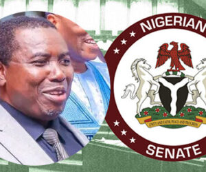 JUST IN: Senate begins screening of new INEC chairperson