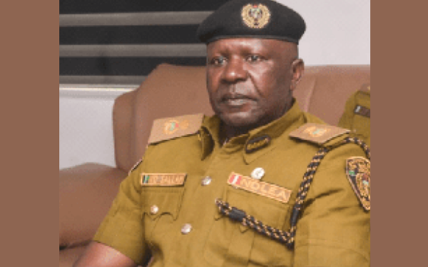 NDLEA destroys 10,000kg of cannabis, 74 hectares of farmland in Ondo