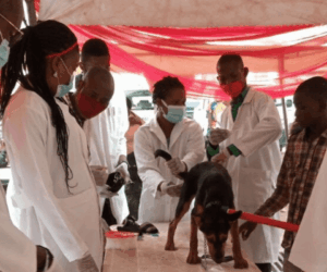 FG intensifies nationwide rabies vaccination drive