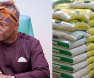 Rice drops from ₦120k to ₦80k, Tinubu’s reform is working