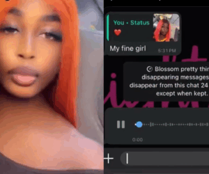 Lady shares weird WhatsApp DM she received from stranger
