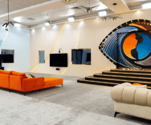 BBNaija stars mint millions through endorsement deals