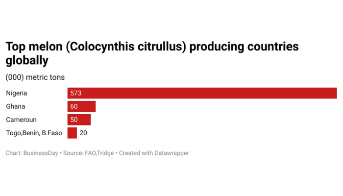 Inside Nigeria’s multi-billion naira melon market