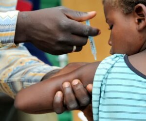 Experts urge govts to prioritise clean environment over vaccination