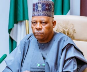 Energy Transition Holds $410bn Investment Potential By 2060 – Shettima