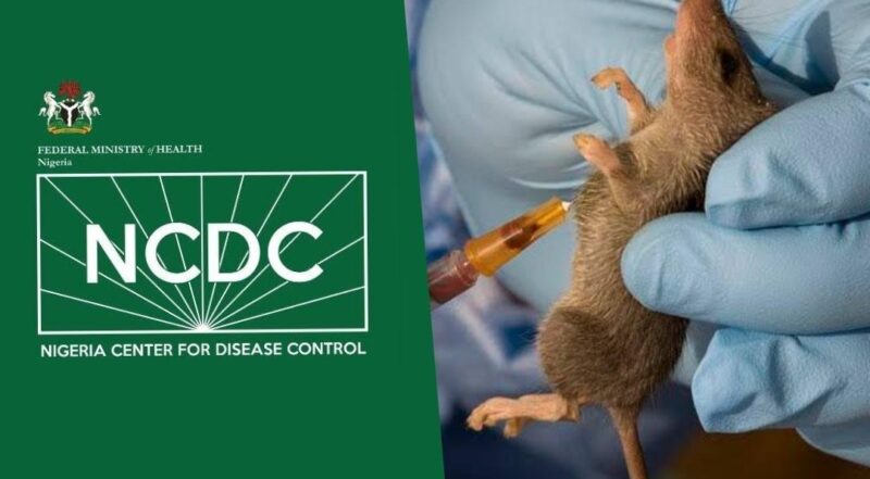 NCDC Confirms 168 Deaths From Lassa Fever As Fatality Rate Increases