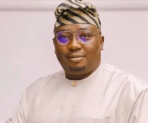 FG To Cut Off Underperforming DisCos In 2028 – Minister Adelabu