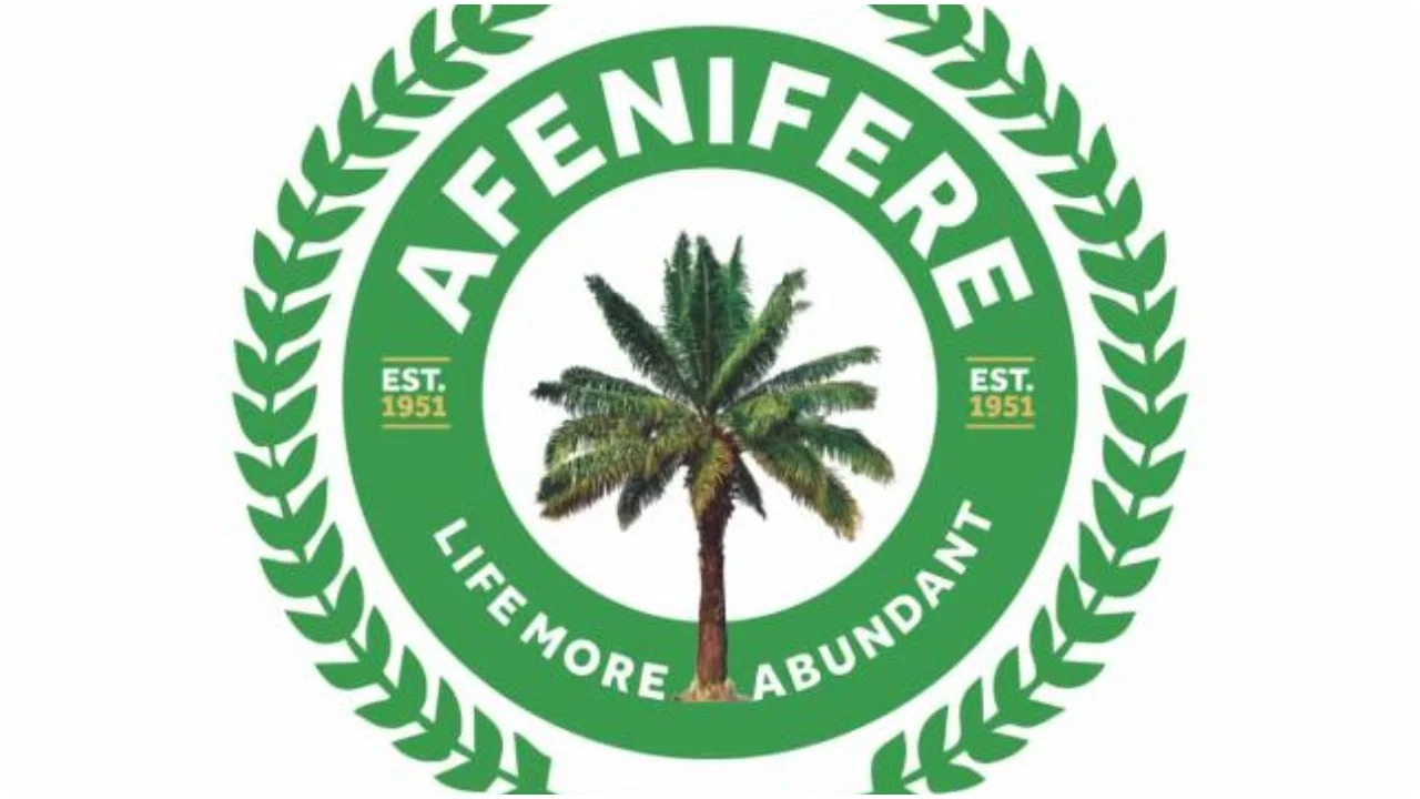 “APC Are Experts In Decieving People, Manipulating Figures” – Afenifere Leader