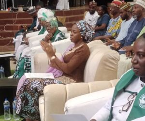 Kwara Plans Geriatric Centre, Celebrates Elderly With Indigenous Craft Showcase