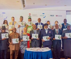 Bagudu, GCF, PACE, NESG Push For Climate Finance Implementation Guide