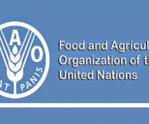 Ogun Gets FAO Award For Sustainable Aquatic Food Systems
