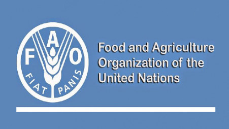Ogun Gets FAO Award For Sustainable Aquatic Food Systems