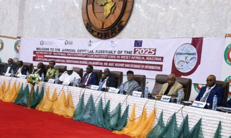 ‘Declare Resource Theft, Illegal Mining International Crime’ – Tinubu Tells ECOWAS