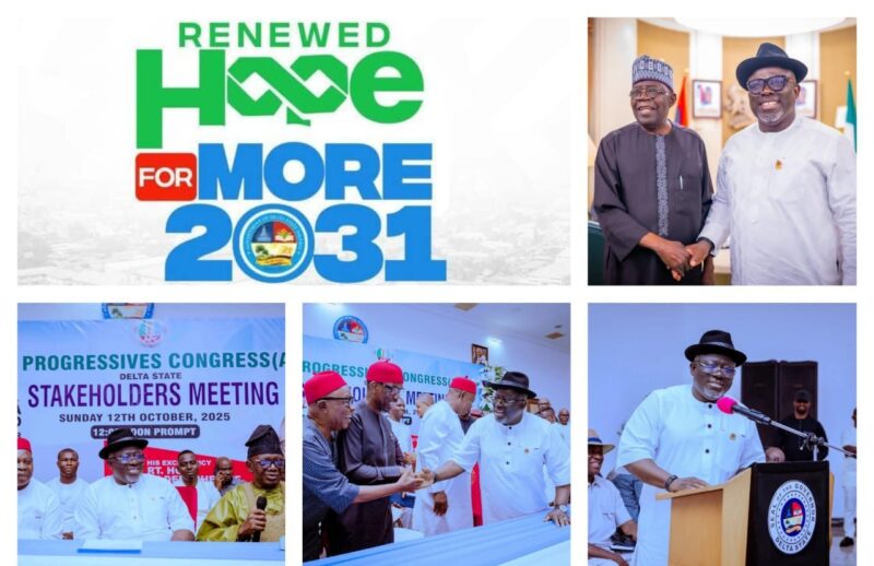 2027: Why Tinubu, Oborevwori Are unstoppable In Delta – Bureau Chief