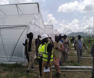 NALDA Rolls Out Greenhouse Project To Boost Vegetables Output