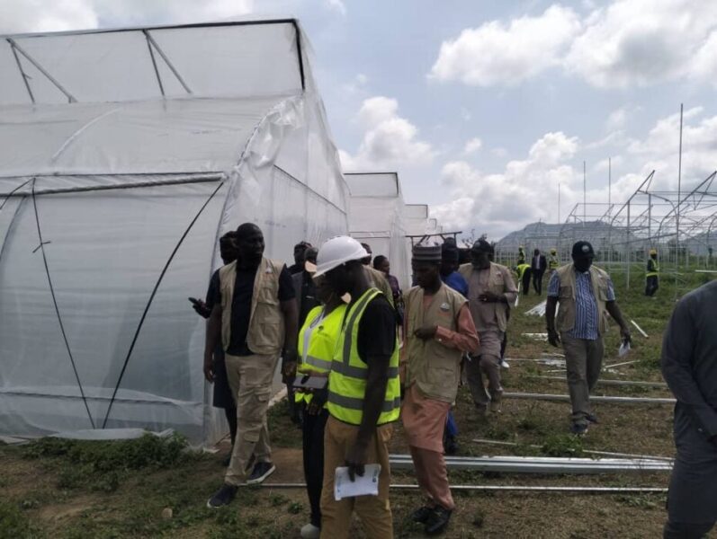 NALDA Rolls Out Greenhouse Project To Boost Vegetables Output