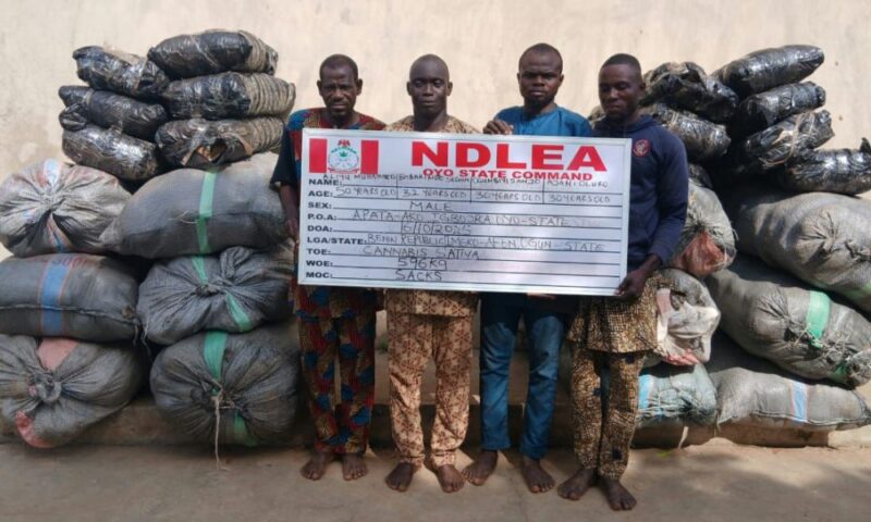 NDLEA Intercepts Illicit Drugs Hidden In Frozen Snails, Electrical Bulbs