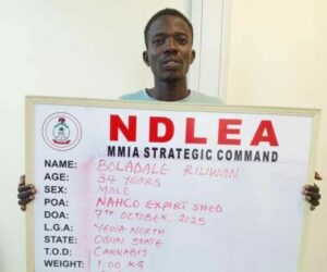 NDLEA Intercepts US, UK, DRC-bound Illicit Drug Consignments At Lagos Airport