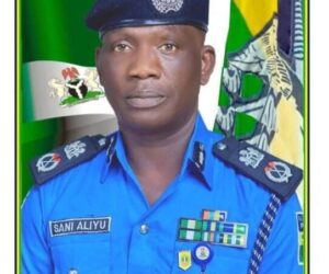 Bauchi Police Arrest Suspected Kidnapper, Rescue 2 Victims In Plateau