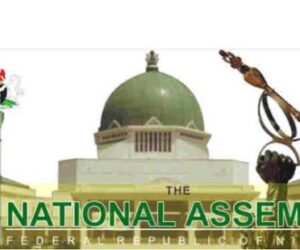 Constitution Review: NASS Joint Panel Endorses Creation Of New State In South East