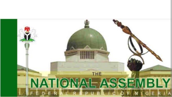 Constitution Review: NASS Joint Panel Endorses Creation Of New State In South East