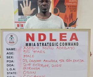 NDLEA uncovers UK-bound cocaine in cream containers