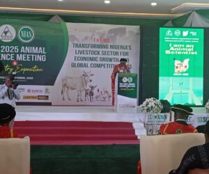 Developing Nigeria’s Livestock Industry, Our Priority – Minister