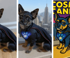 How to use Instagram’s new Restyle AI tool to reimagine your photos