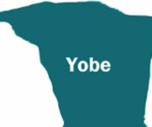 Six Killed In Yobe Road Accident