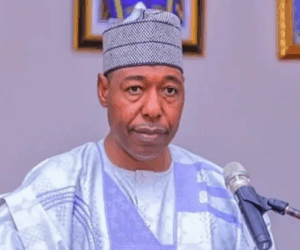Zulum Orders Probe After MURIC Alleges Harassment Of Women Over Hijab In Borno Hospitals