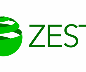 Zest: Transforming Business Payments with Tailored Solutions | Tech | Business