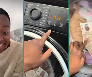 “My Life:” Woman Screams as £100 Forgotten in Cloth Spins Inside Washing Machine, Watches Helplessly