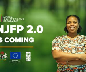 FG to Pay Youths for 1 Year: Here’s Everything You Need to Know About the Fellowship Programme