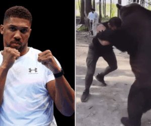 Anthony Joshua agrees to fight Russian who wrestles bears in comeback bout