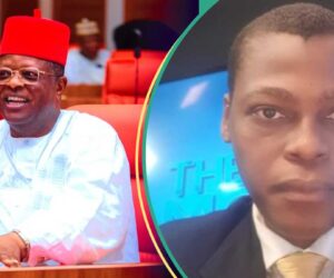 “You Are Too Small For Me”: Tinubu’s Minister, ARISE News Anchor Clash On Live TV, Video Trends
