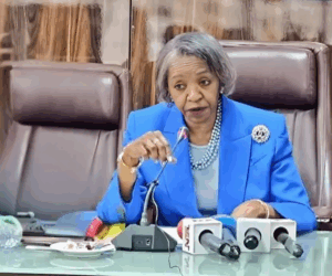 Who is May Agbamuche-Mbu? Meet the New INEC Acting Chairman