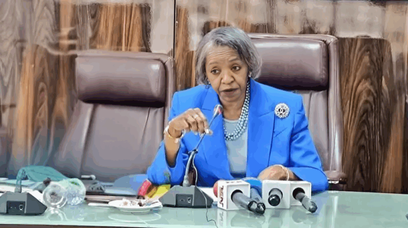 Who is May Agbamuche-Mbu? Meet the New INEC Acting Chairman