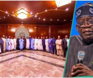 List of governors who recently increased doctors’, health workers’ pay and why
