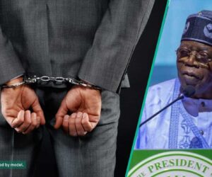 Expert Explains Economic, Investment Implications of Tinubu’s Presidential Pardon