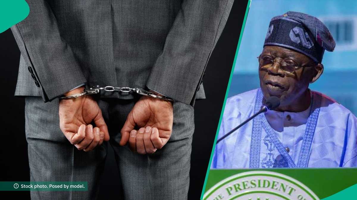 Expert Explains Economic, Investment Implications of Tinubu’s Presidential Pardon