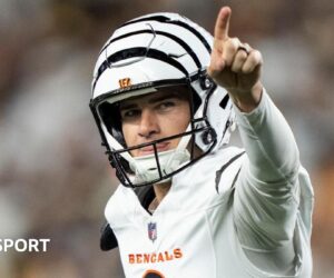 Cincinnati Bengals upset Pittsburgh Steelers with dramatic late win