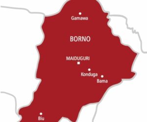Mother and daughter drown while returning from farm in Borno