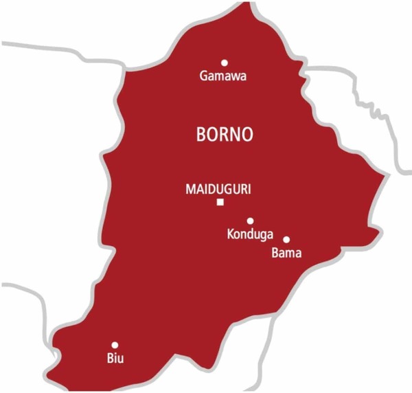 Mother and daughter drown while returning from farm in Borno
