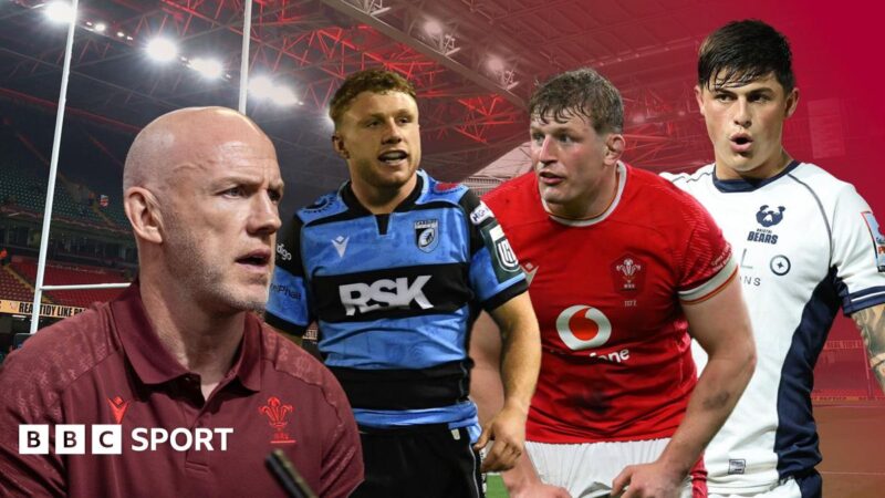 Rees-Zammit back? A new captain? The questions facing Wales’ first rugby squad under Tandy