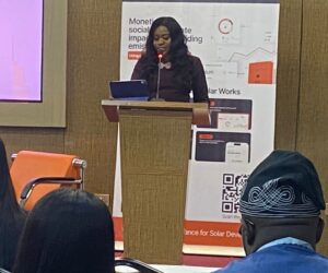 Firm Unveils Platform To Unlock Climate Financing In Nigeria